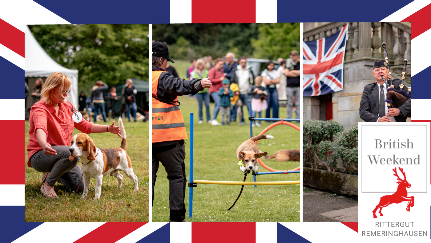 CSS Teaser Start 2026