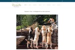 www.beagle vom strunzertal.de