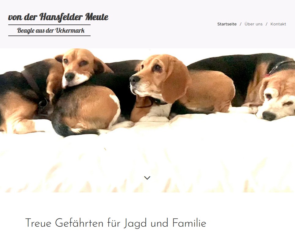 www.beagle peitz.de