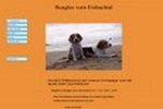 www.beagles vom eisbachtal.de 1