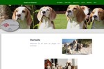 www.beagles-vom-wulbecktal.de/