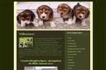 www.glasbachtal beagle.de