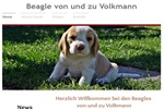 www.volkmann beagle.de